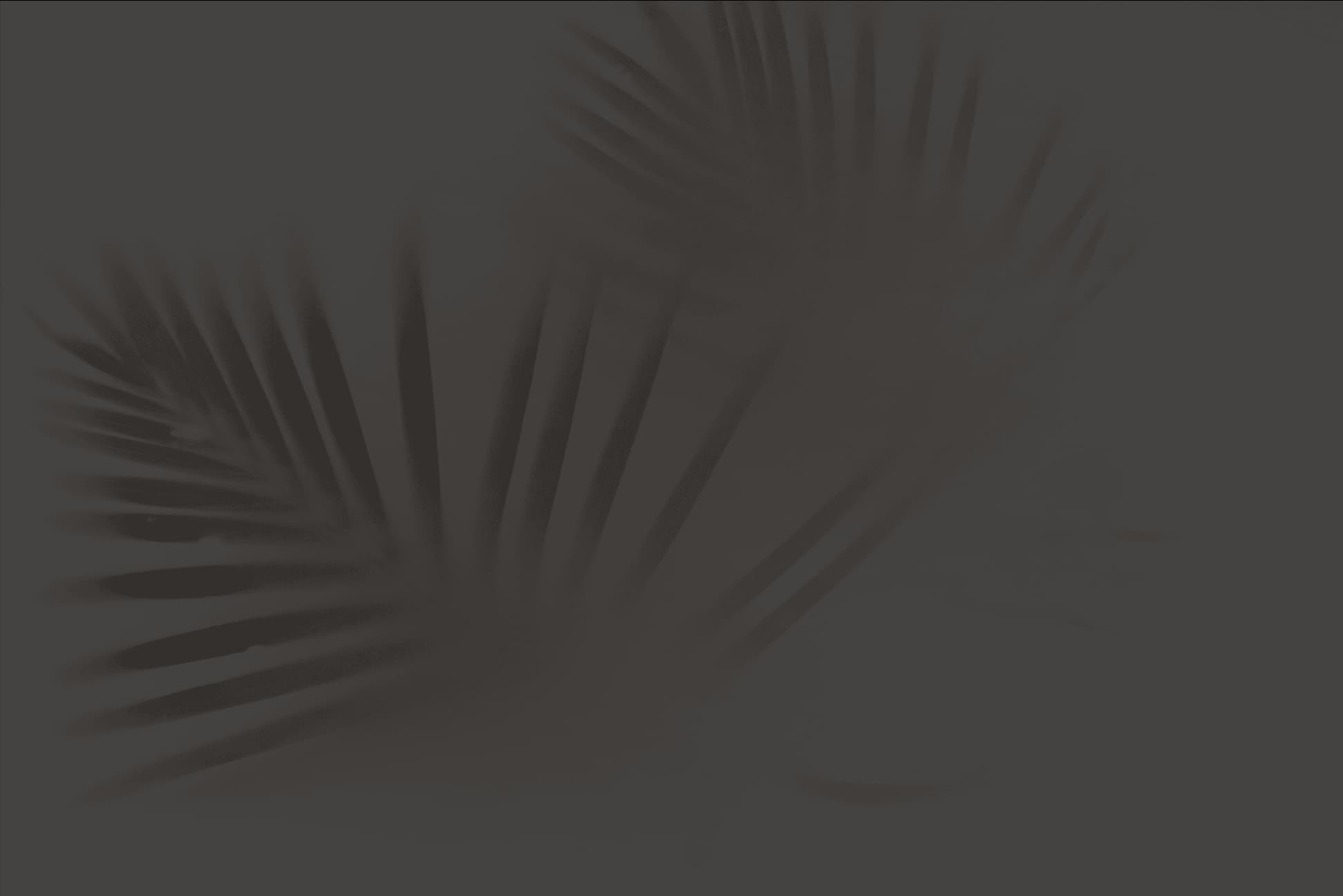 Green palm background
